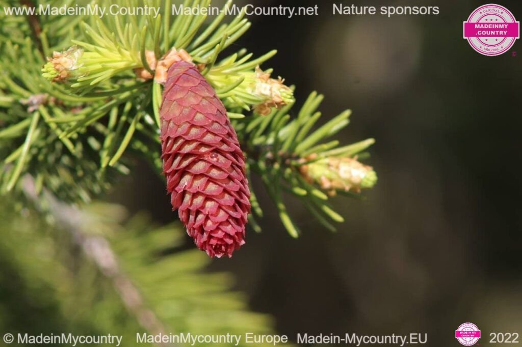 MadeinMycountry MadeinMycountryEU Nature