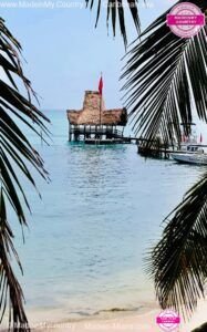 MadeinMycountry-America-latina