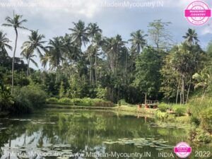 MadeinMycountry MadeinMycountryIndia India Kerala