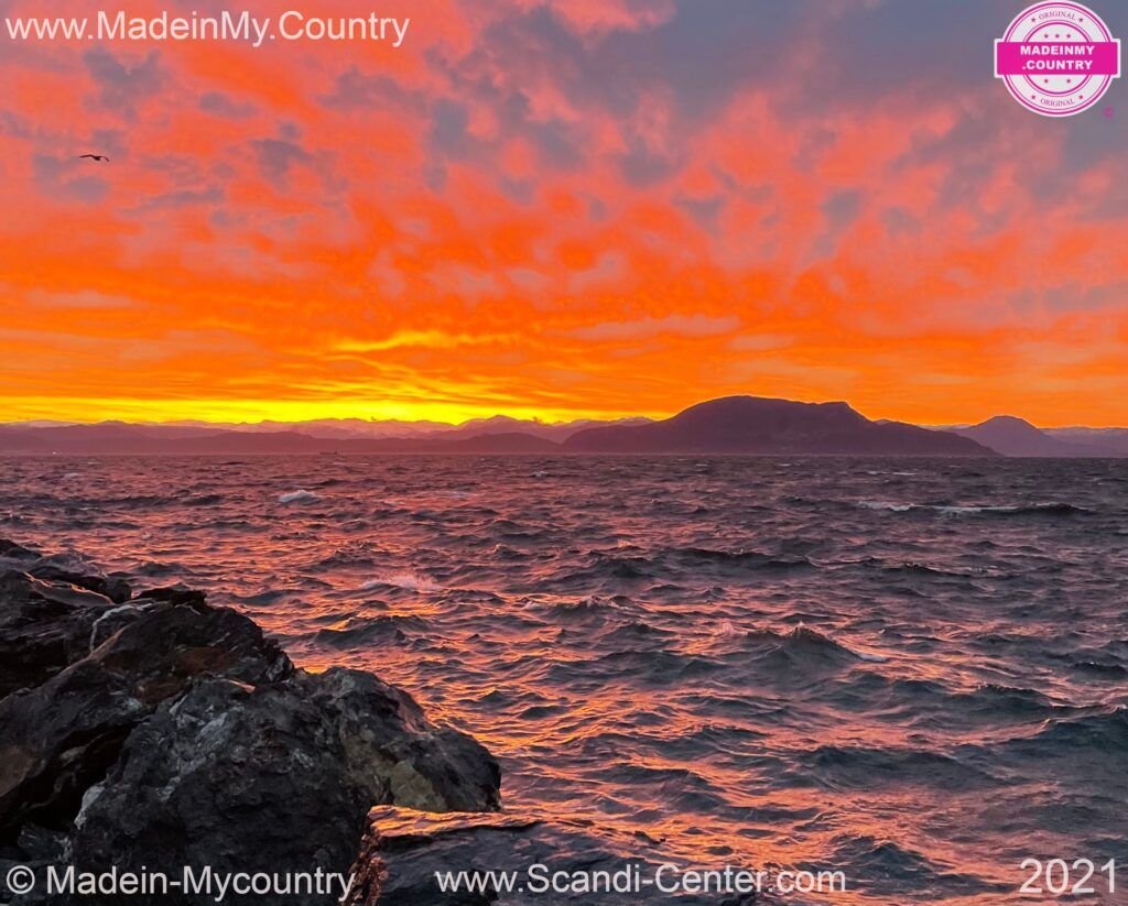 MadeinMycountry Scandinavia MadeinMycountry is a global platform that celebrates and supports local history, culture, art and nature conservation efforts.