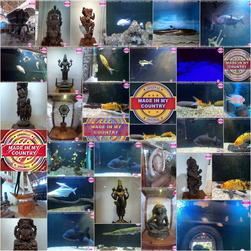 MadeinMycountry is a global platform that celebrates and supports local history, culture, art, and nature conservation efforts. For two decades, we have been sponsoring local museums, cultural organizations, travel destinations, historical sites and various cultural events around the world.